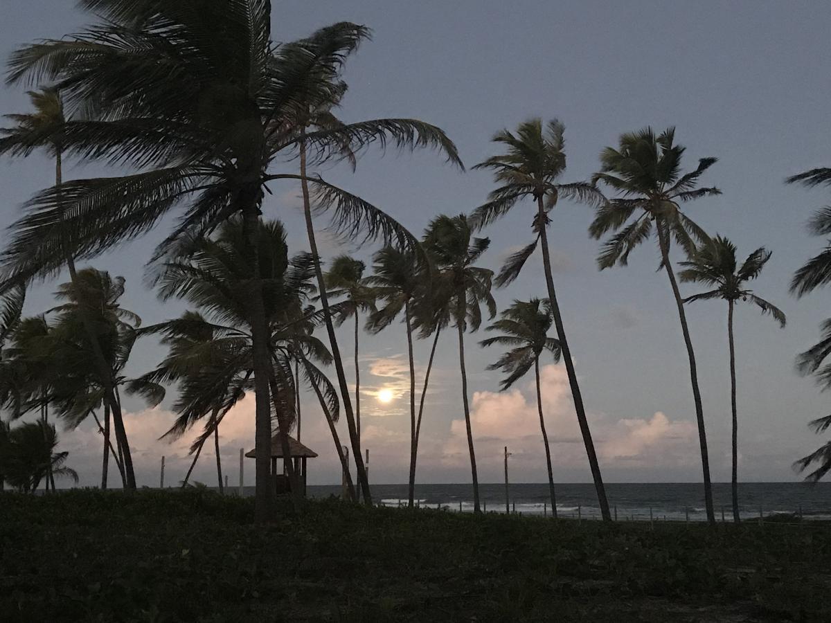 Vilage Em Praia Do Forte Dış mekan fotoğraf